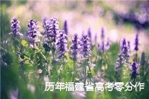 历年福建省高考零分作文_高考零分作文