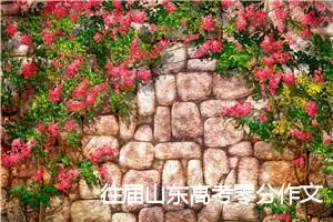 往届山东高考零分作文（爆笑）_高考零分作文