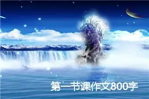 第一节课作文800字_小学五年级作文