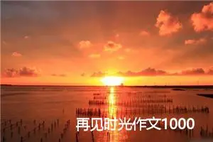 再见时光作文1000字_高二作文