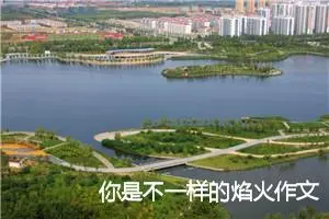 你是不一样的焰火作文800字