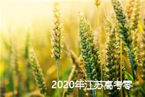 2020年江苏高考零分作文：牛车_高考零分作文