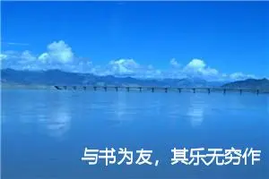 与书为友，其乐无穷作文1000字_高二作文