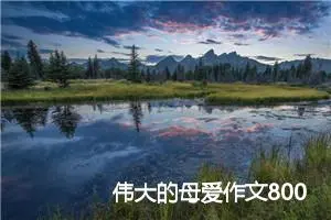 伟大的母爱作文800字_小学四年级作文