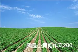 我是小黄狗作文200字_小学一年级作文