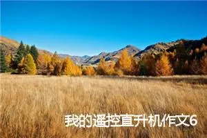 我的遥控直升机作文600字