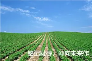 铭记耻辱，冲向未来作文_作文650字_高三作文