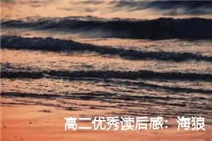 高二优秀读后感：海狼的读后感600字_高中读后感