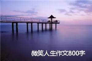 微笑人生作文800字_高二作文