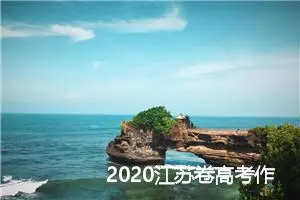 2020江苏卷高考作文题目：忧与爱_高考零分作文