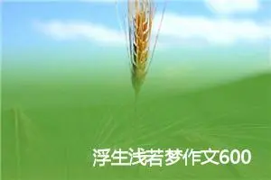 浮生浅若梦作文600字_高二作文