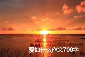 爱如什么作文700字