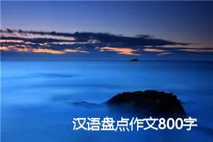 汉语盘点作文800字_高三作文