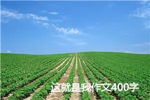这就是我作文400字_小学一年级作文