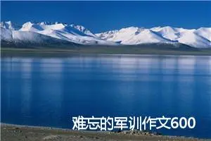 难忘的军训作文600字
