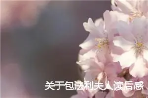 关于包法利夫人读后感范文700字_高中读后感