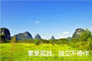 享受孤独，独立不倚作文800字_高二作文