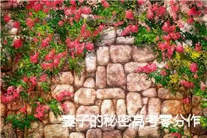 妻子的秘密高考零分作文_高考零分作文