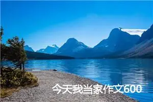 今天我当家作文600字