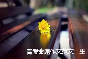 高考命题作文范文：生活在鼓励中_作文700字_高考命题作文