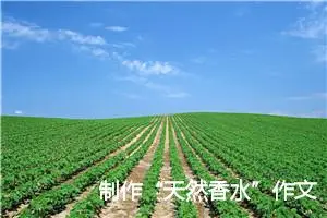制作“天然香水”作文300字_小学一年级作文