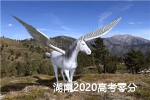 湖南2020高考零分作文：分分分，学生的命根_高考零分作文
