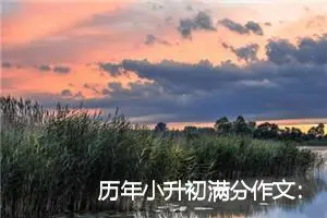 历年小升初满分作文：分享之乐_作文2000字_小升初作文