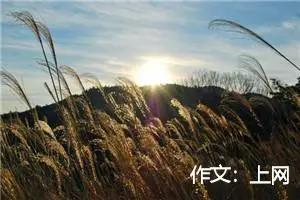 作文：上网