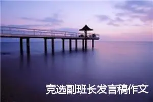 竞选副班长发言稿作文(2篇)_小学演讲作文