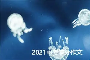 2021中考满分作文：开在记忆深处的花朵_中考满分作文