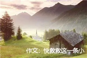 作文：快救救这一条小河吧