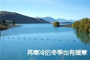 再寒冷的冬季也有暖意作文800字_初三作文