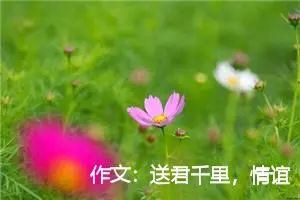 作文：送君千里，情谊浓浓;终须一别，伤心万分