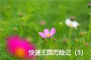 快速王国历险记（3）_作文400字_小学生童话作文