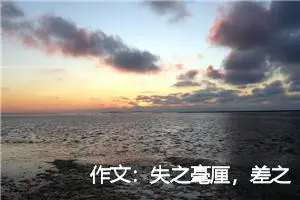 作文：失之毫厘，差之千里