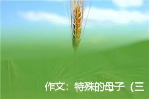 作文：特殊的母子（三年级看图作文）
