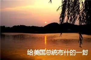 给美国总统布什的一封信作文(2篇)_小学书信作文