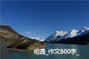 相遇_作文800字_初中议论文作文