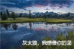 灰太狼，我想借你的坚强_作文300字_小学写信作文