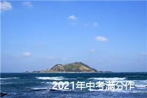 2021年中考满分作文：几点感动在心头_中考满分作文