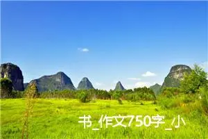 书_作文750字_小学写信作文
