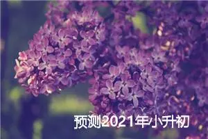 预测2021年小升初作文题目：照片里的故事_作文1550字_小升初作文
