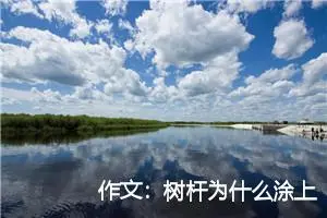 作文：树杆为什么涂上白色的油漆
