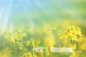 作文：假如我是……