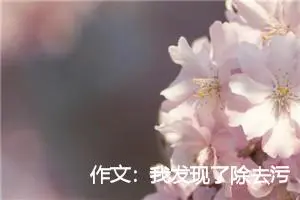 作文：我发现了除去污渍的好方法