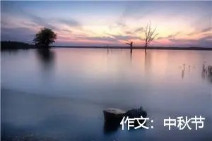 作文：中秋节