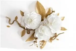 作文：我的新同桌
