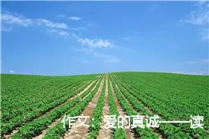 作文：爱的真诚——读《孝女绳》有感