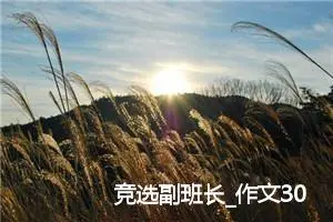 竞选副班长_作文300字_小学演讲作文