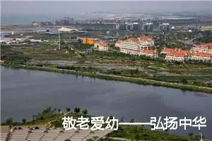 敬老爱幼——弘扬中华美德_作文800字_初中议论文作文